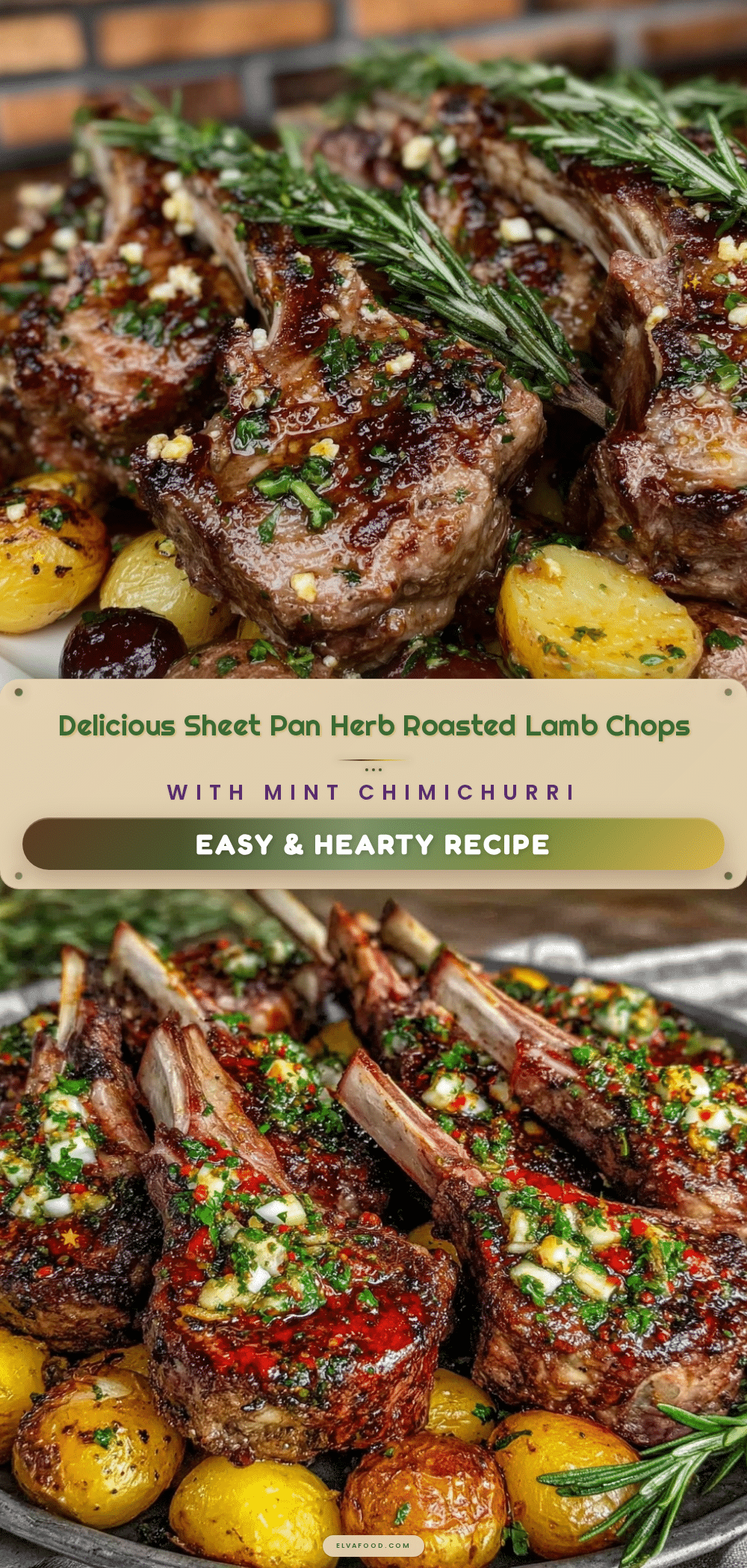 sheet pan herb roasted lamb chops recipe