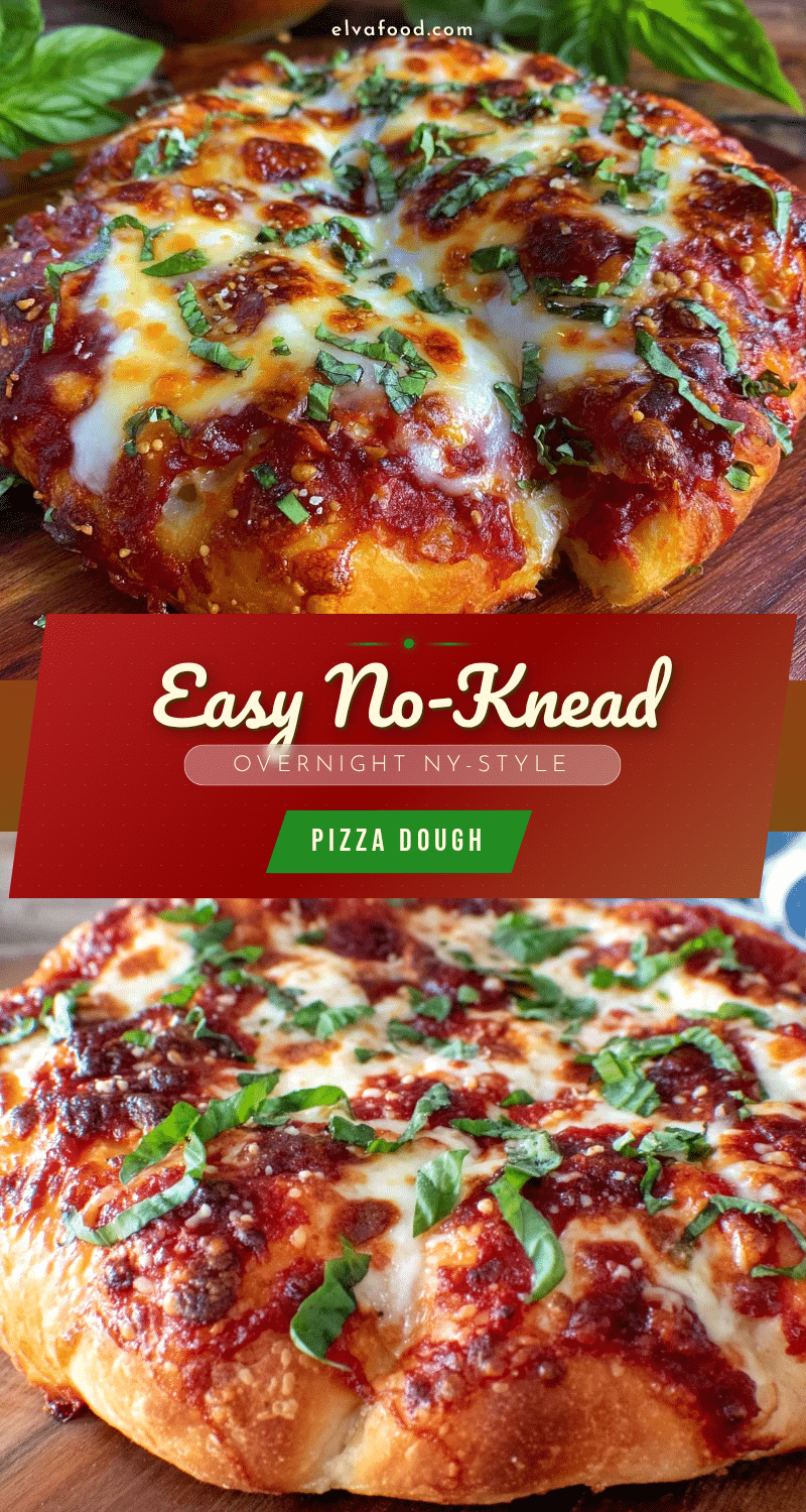 no-knead overnight ny-style pizza dough recipe