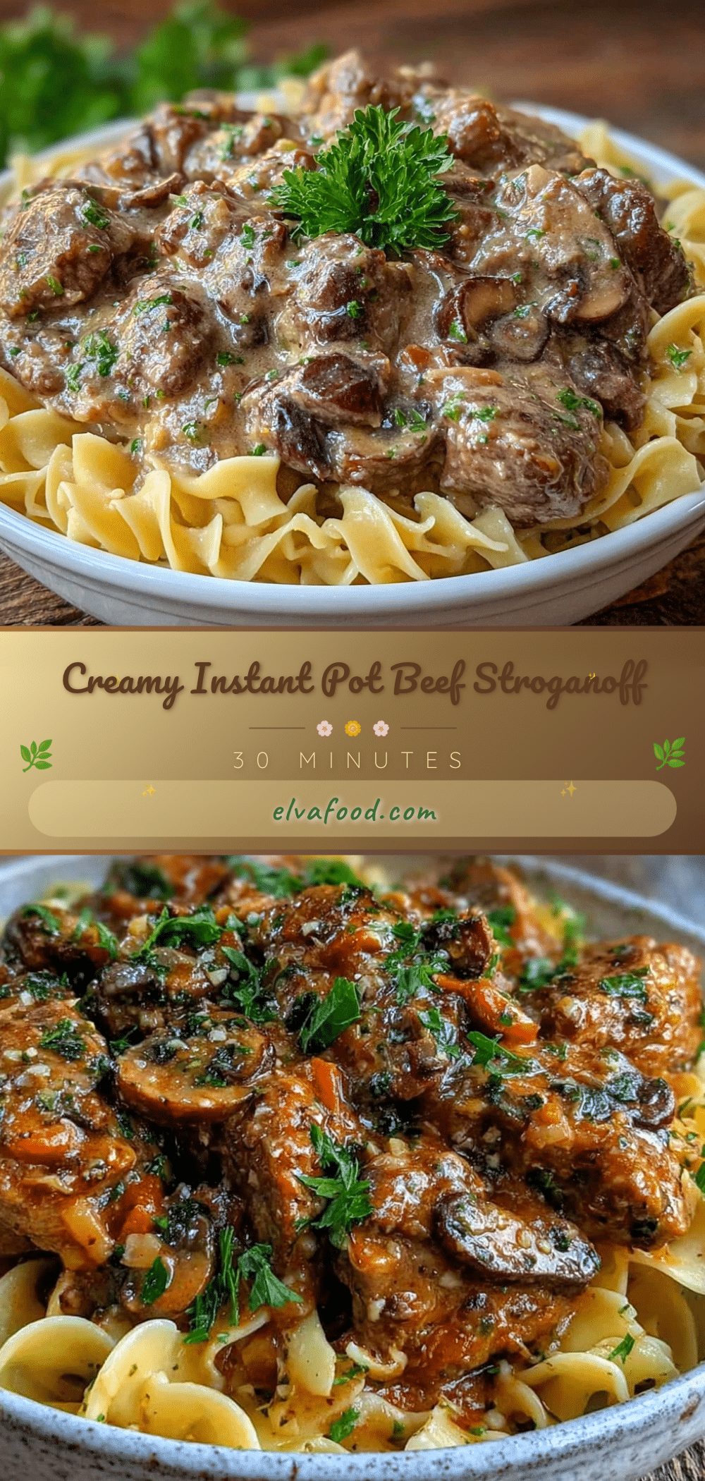 Instant Pot beef stroganoff recipe