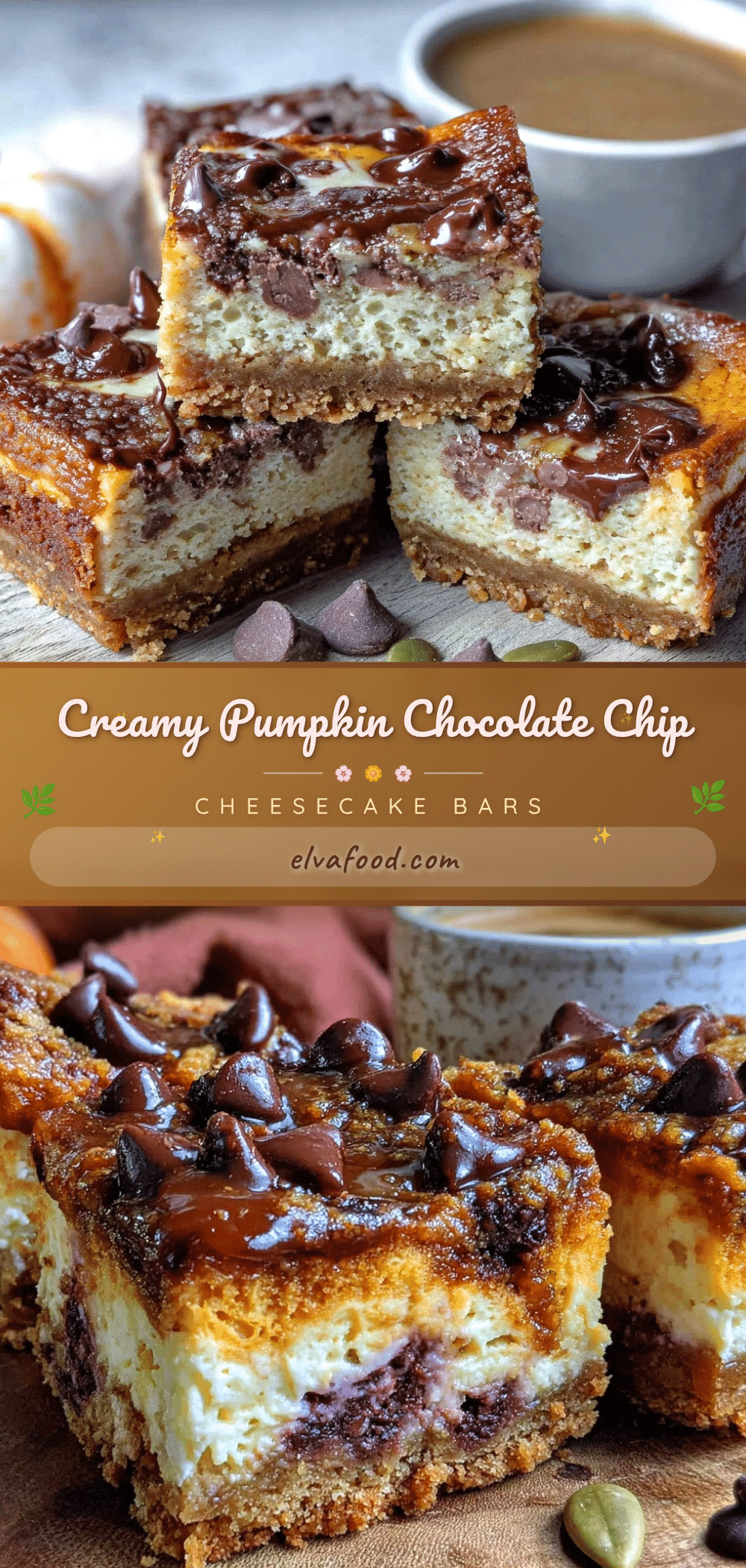 creamy pumpkin chocolate chip cheesecake bars recipe