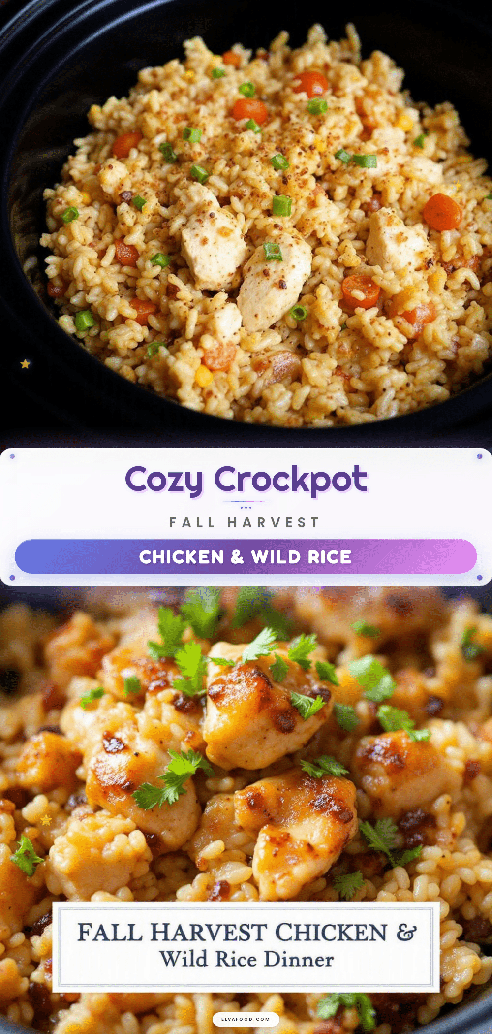 crockpot chicken and wild rice recipe
